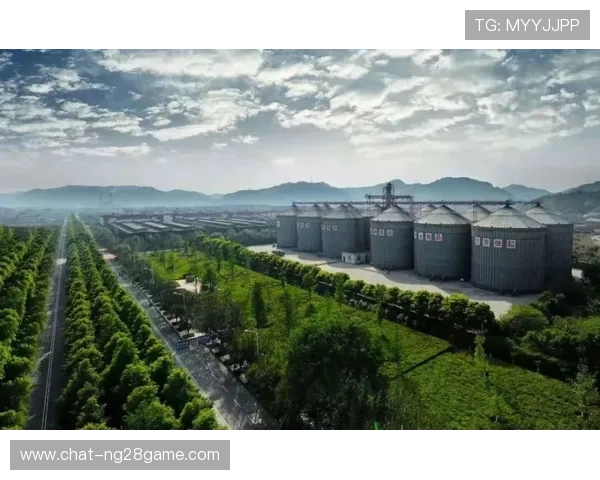 米德尔斯堡俱乐部百年征程与荣耀复兴全景深度解析与未来展望