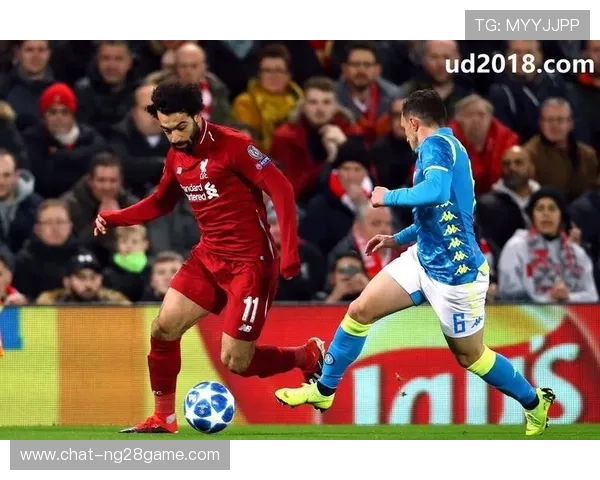 狼队最新赛季表现分析：核心球员状态回暖带队稳步前行